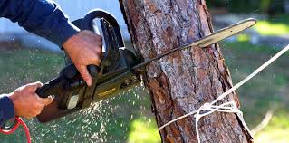 Best Aeration Services  in Big Le, AK